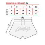 MOLOTOVA │swim shorts