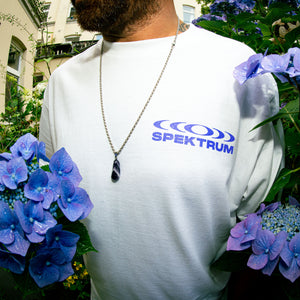 PERRO X SPEKTRUM